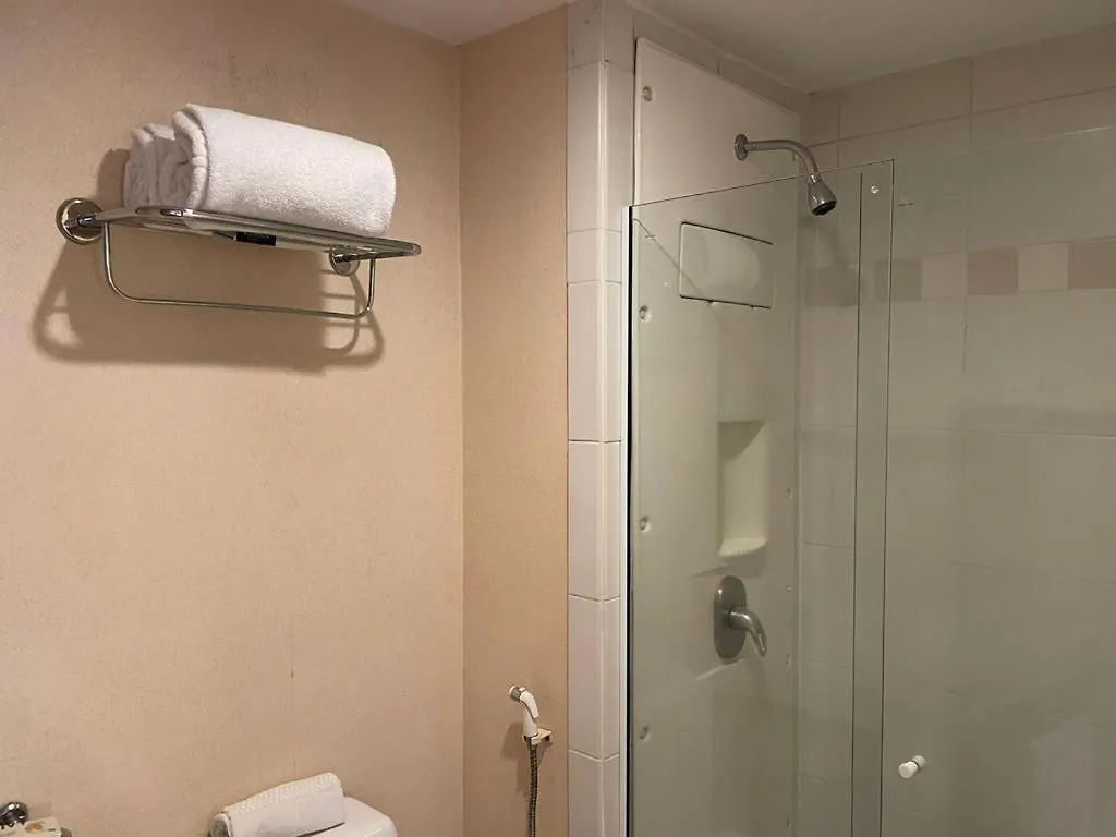 Ibirapuera Hotel 5 Estrelas 2 Suites São Paulo Brazília